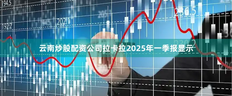 云南炒股配资公司拉卡拉2025年一季报显示