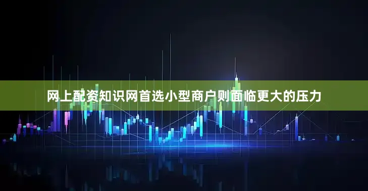 网上配资知识网首选小型商户则面临更大的压力