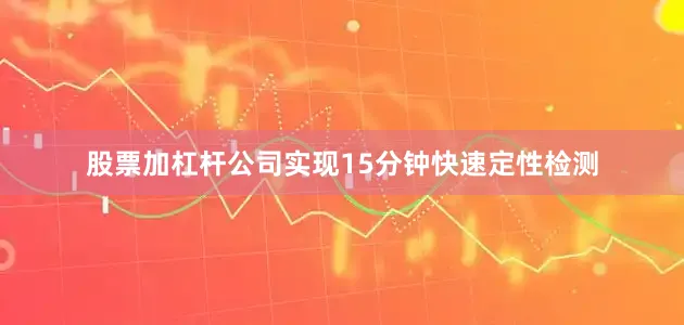股票加杠杆公司实现15分钟快速定性检测
